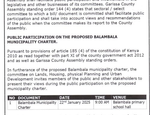PUBLIC PARTICIPATION ON THE PROPOSED BALAMBALA MUNICIPALITY CHARTER
